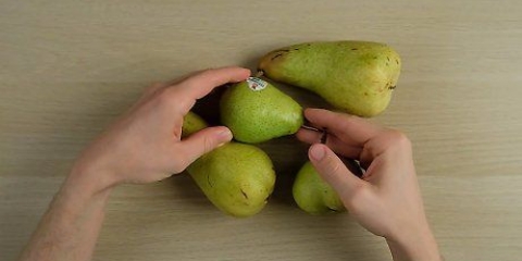 Mogna päron