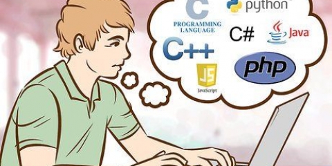 Programmering på datorn