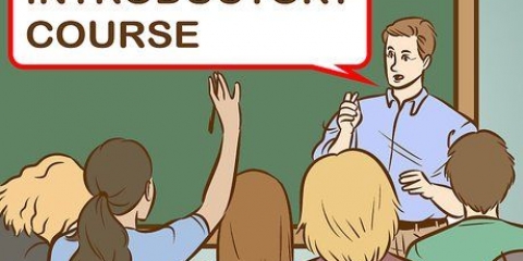 Bli programmerare