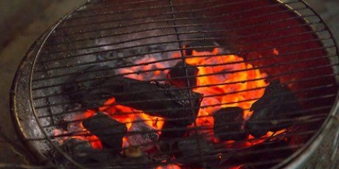 Göra smores