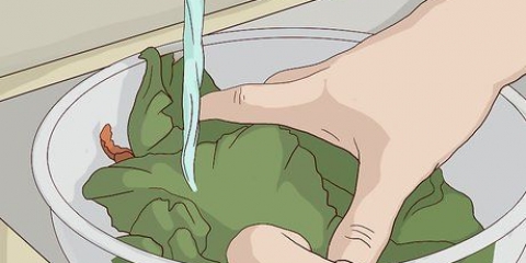 Håll salladen fräsch
