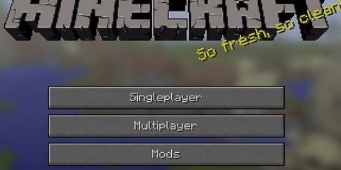 Visa skärmdumpar i minecraft