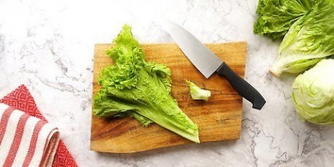 Rengöring av sallad