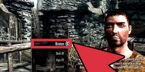 Upp i nivå snabbt i skyrim