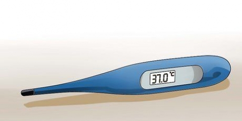 Rekordtemperatur