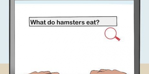Att få tillstånd från dina föräldrar att ha en hamster