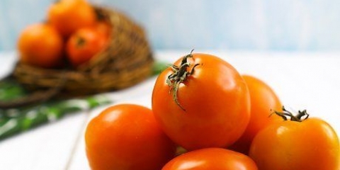Att göra tomatjuice