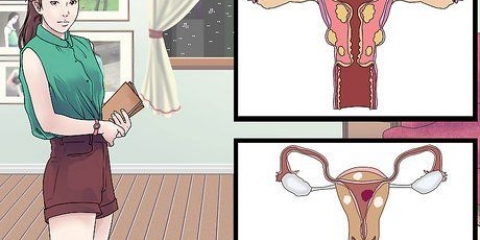 Behandling av vaginalcystor