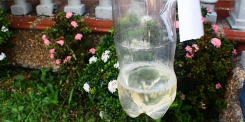 Gör droppbevattning från en plastflaska