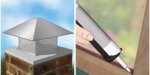 Bli av med spindlar i huset