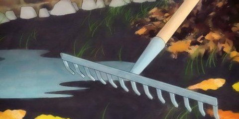 Bli av med vargspindlar