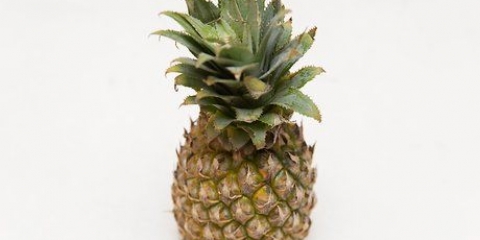 Köp och förvara färsk ananas