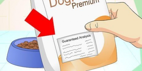 Lägga till fibrer till din hunds diet