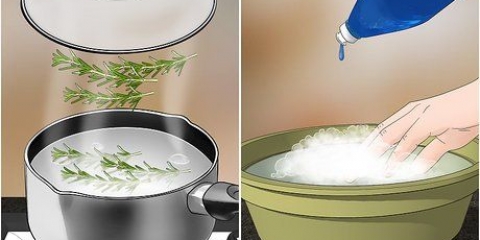 Bekämpa loppor med naturläkemedel