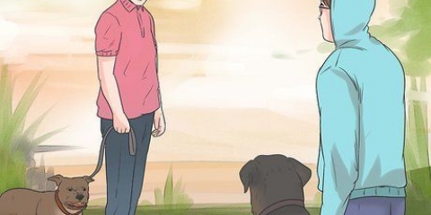 Förhindra en hund från att skälla på andra hundar