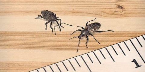 Förhindrar att vivlar kommer in i ditt skafferi