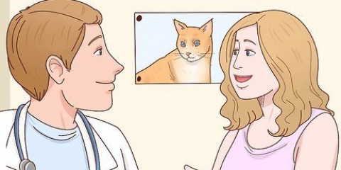 Förhindra din katt från att kissa på din säng