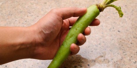 Förbereder wasabi