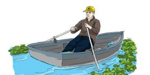Ta bort näckrosor