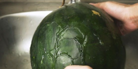 Frysande vattenmelon
