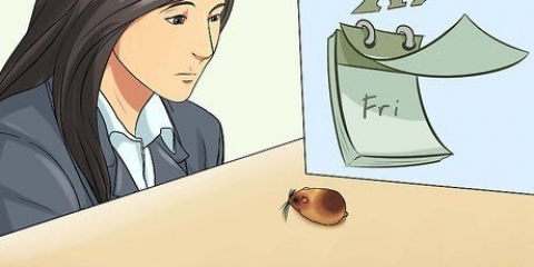 Att veta om din hamster är döende