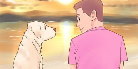 Ta reda på om din hund gillar dig mest