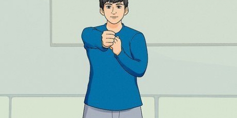 Lär dig wing chun
