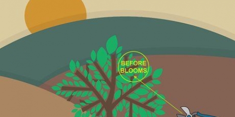 Beskärning omväxlande blomma