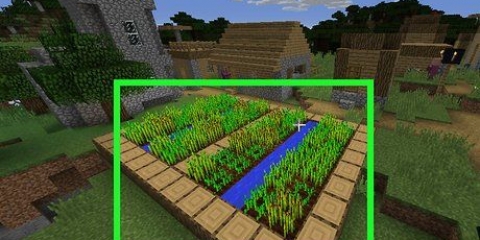 Samla morötter i minecraft