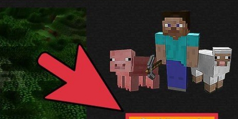 Gör dina egna skal till minecraft