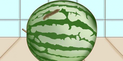 Se om en vattenmelon är ruttet