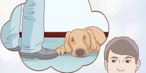 Se om din hund är deprimerad