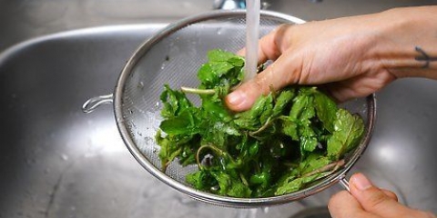 Håller myntabladen fräscha
