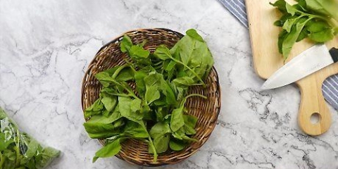 Hålla spenat fräsch