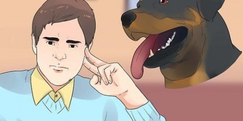 Ta hand om en rottweilervalp