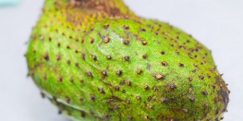 Att göra soursop juice