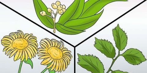 Förebygga tunga perioder: kan det göras naturligt?