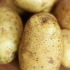 Koka potatis