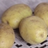 Förvara potatis