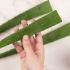 Äta aloe vera