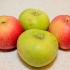 Göra äppelcider