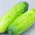Betning av pickles med dill