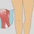 Massera benen
