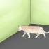 Avgöra om din katt är blind