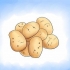 Odla potatis inomhus