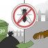 Att bli av med flugor utanför