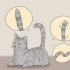 Kommunicera med din katt