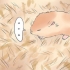 Behandla din hamsters brutna ben