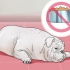 Behandling av diarré hos en hund