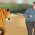 Att överleva en tigerattack